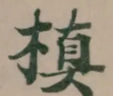 Đã định vị 槙