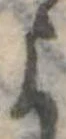 미지정 위치 확인됨