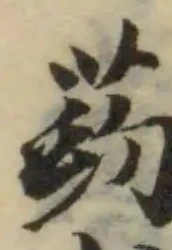 葯の位置