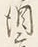 글자 酒