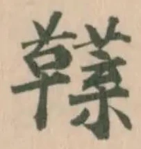 𩍣の位置