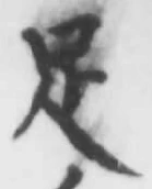 字足