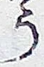 「う」字