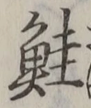 글자 鮭