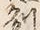 文字州