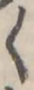 位置 確認된 く