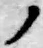 字ノ