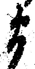 Đã định vị 衛