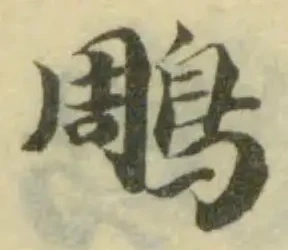 鵰の位置