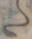 Đã định vị 𛁠