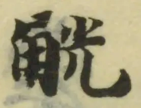 觥の位置