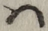 글자 は