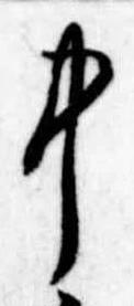 Đã định vị 中