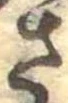 已定位さ