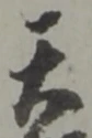 位置定マレル天