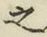글자 之
