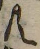 共 위치 확인됨