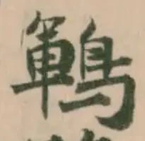 鶤 위치 확인됨