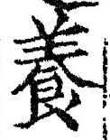 Chữ 養