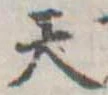 位置定マレル天