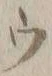 文字ウ