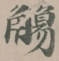 Đã định vị 觴