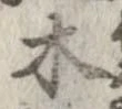 位置 確認된 木