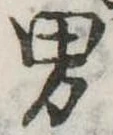 Đã định vị 男