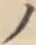 字ノ