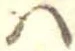 Đã định vị 𛂞