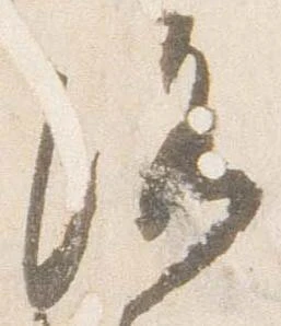 洛 위치 확인됨