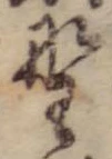 已定位野