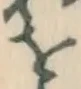 글자 を