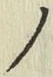 字ノ