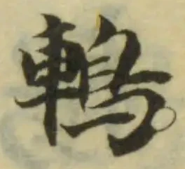 位置定マレル鵏