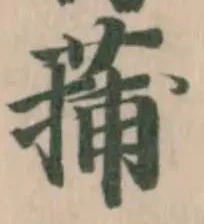 蒱 위치 확인됨