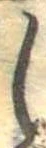 𛁅 위치 확인됨