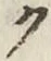 글자 ク