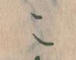 こ 위치 확인됨
