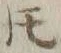 글자 𪜈