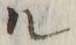 字ル