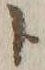 字ト