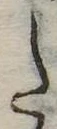 Đã định vị 𛁠