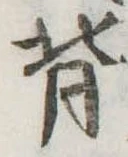 背 위치 확인됨