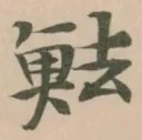 魼の位置