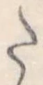Đã định vị 𛁠