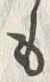𡨸も