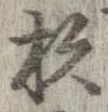 已定位杉