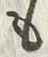 𡨸も