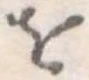𛄜 위치 확인됨